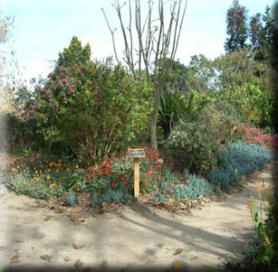 San Diego Botanic Gardens
